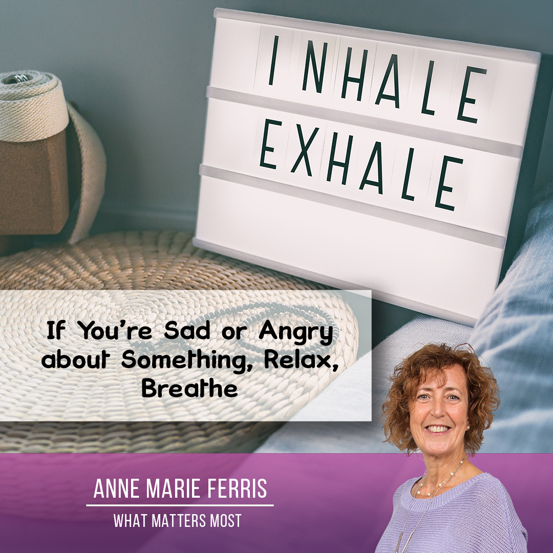 Anne Marie Ferris tweet media