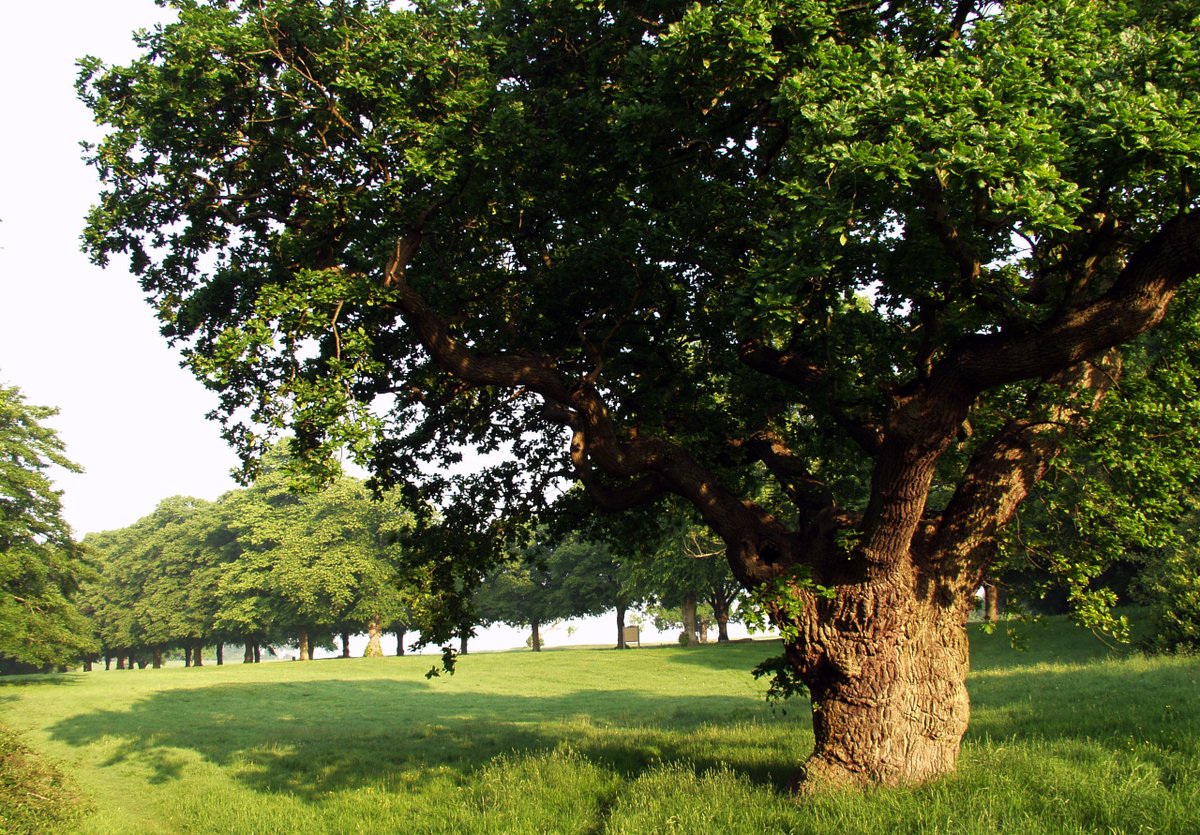 Bristol Parks tweet media