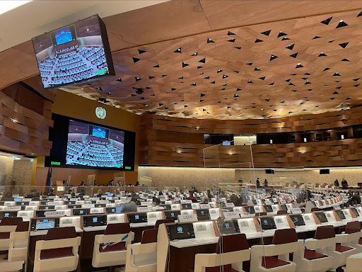 Center for International Environmental Law tweet media