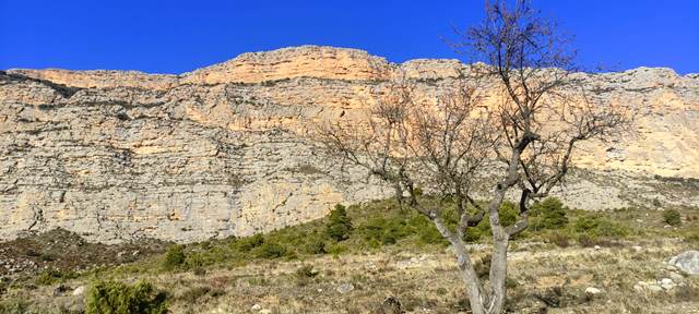 VisitJussa's tweet photo. 📢Aquest diumenge nova sortida per conèixer el #patrimonidelJussà promoguda pel
@ConsellJussa
Descobreix l'itinerari naturalístic entre #Pessonada i #Herbasavina de la mà de #salvagines
👉Reserva la teva plaça: https://t.co/inWoSlWxpW https://t.co/VNCadoTpRj