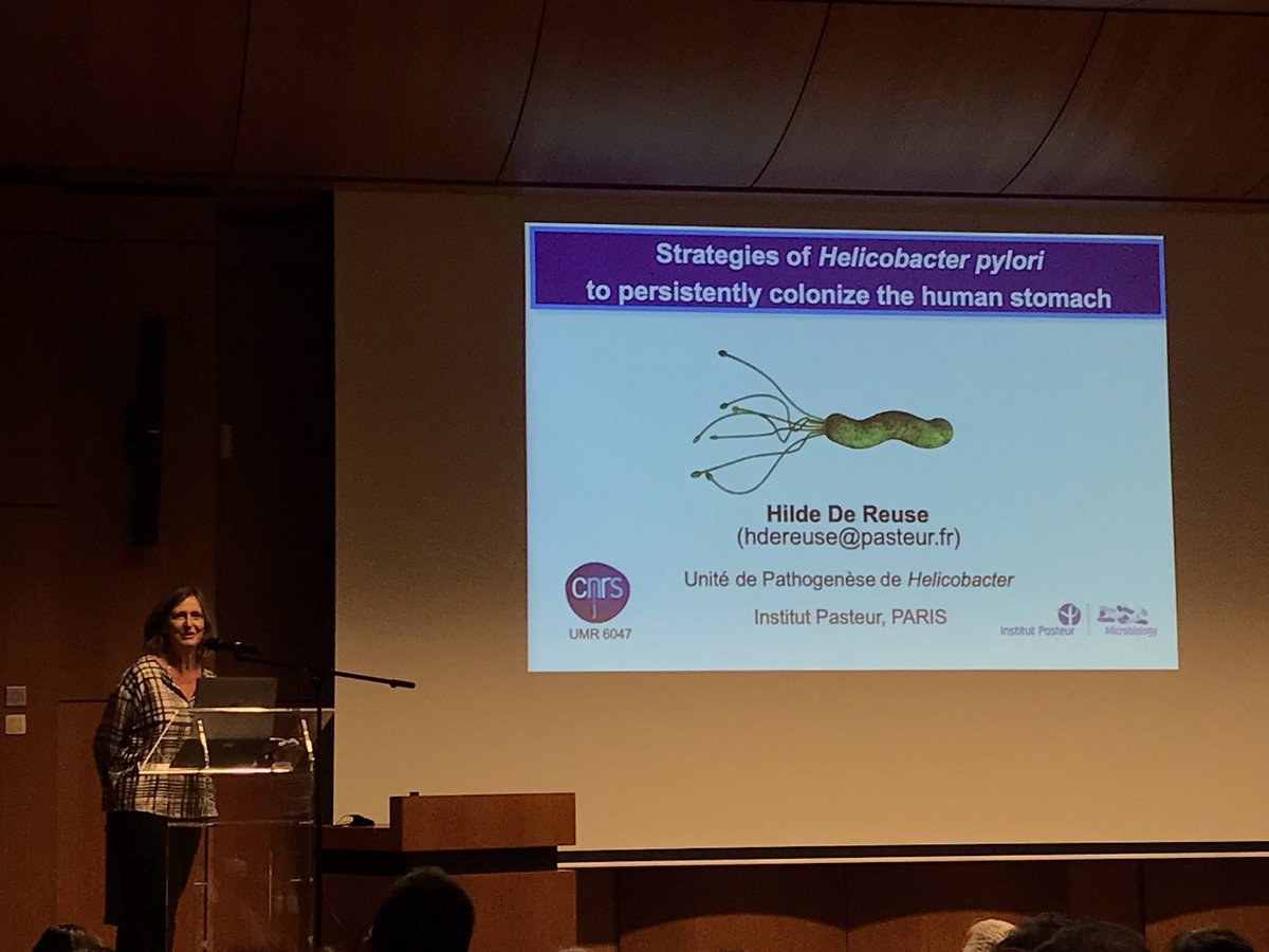 HallezLab's tweet photo. The second speaker of #BSM2022 is @HildeReuse who talks about strategies used by Helicobacter pylori to persistently colonize the human stomach https://t.co/0Ll14b3FsO