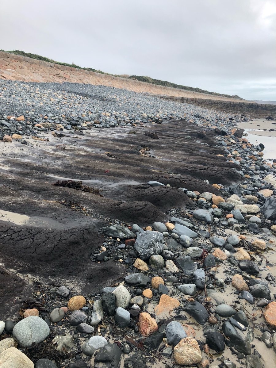 aspiring Jersey Island Geopark tweet media