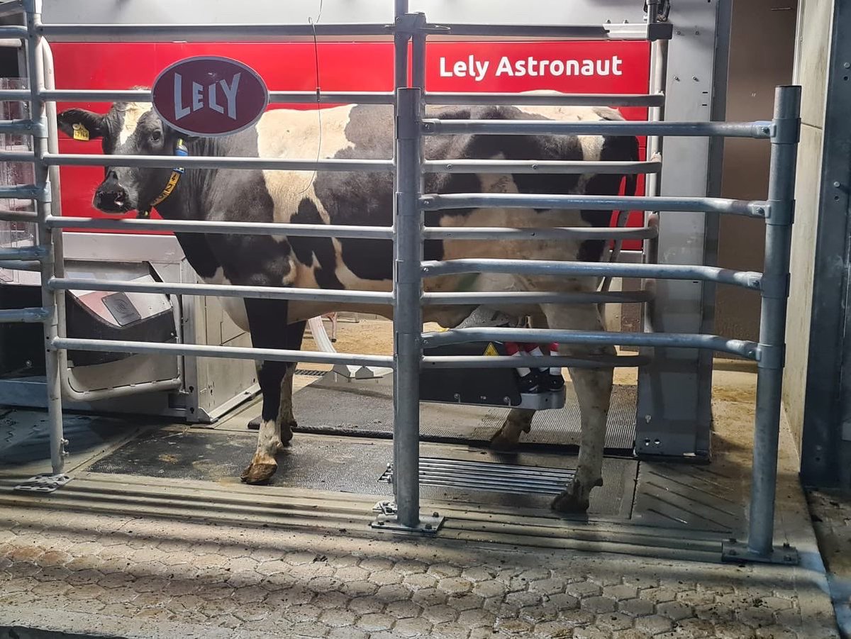 Lely Center Holsworthy tweet media