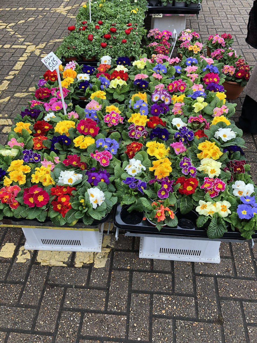 Opportunity Dorking tweet media