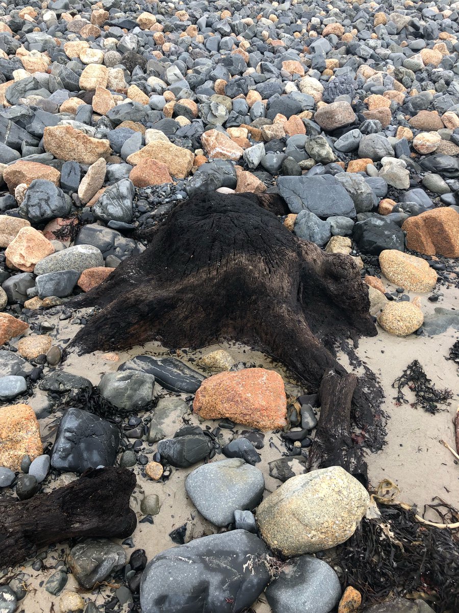 aspiring Jersey Island Geopark tweet media