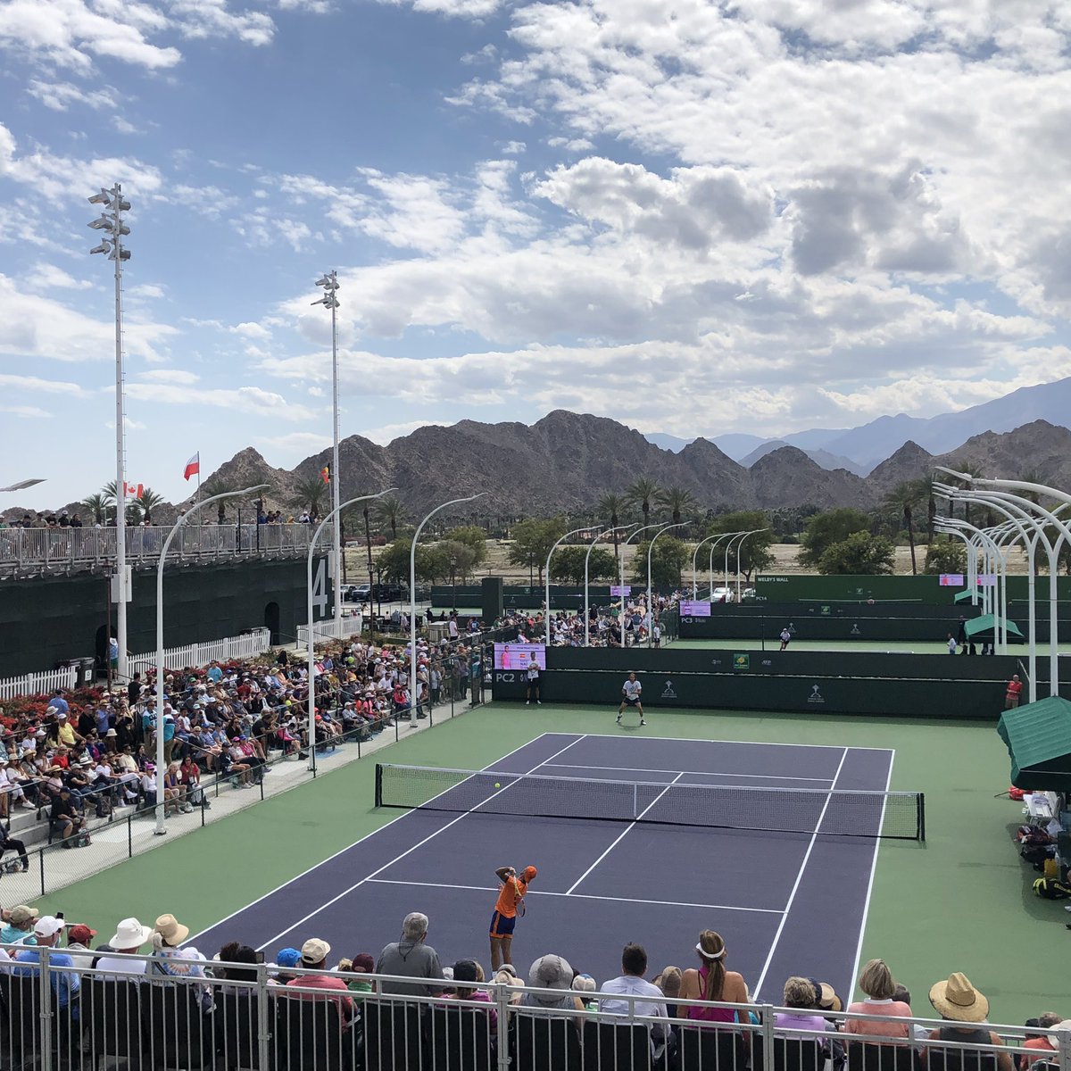 De Tennistafel | Ziggo Sport tweet media