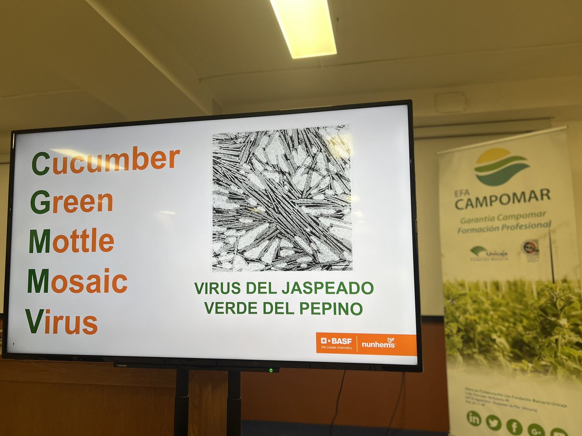 ManuelaManoli's tweet photo. ➡️ Nos encontramos en @efacampomar con los chicos de grado medio y superior de producción Agro-ecológica y grado superior de paisajismo y medio rural. Nuestra compañera Mercedes impartirá una charla de #CGGMV, un problema actual en la #agricultura https://t.co/aqbO8Id4da