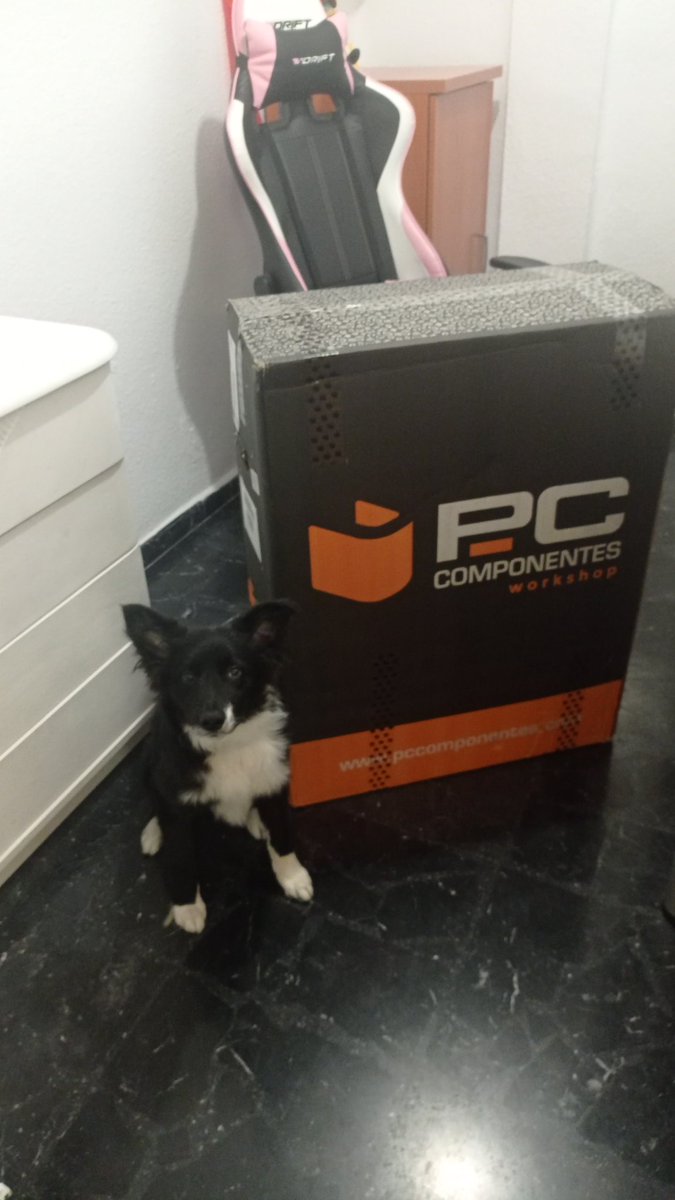 GamerDevp's tweet photo. Ya llego la primera calentada del año.

Pd: el perro venia de regalo https://t.co/jZv3RtKBzS