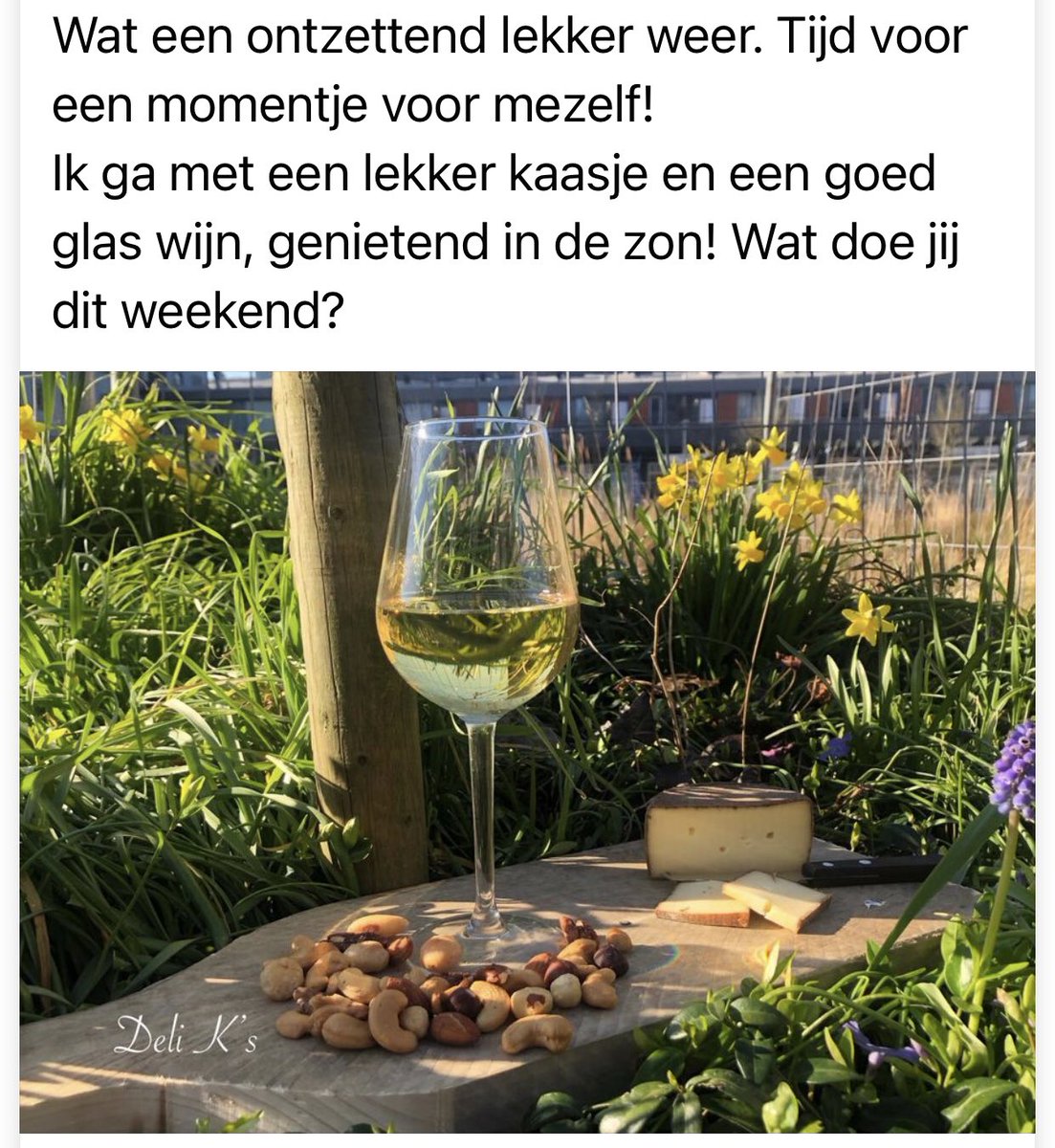 #terugvolgvrijdag