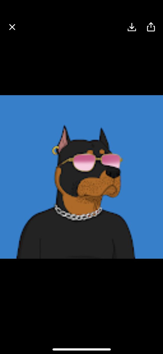 Mr_Bob001's tweet photo. @GutterCatGang Let’s go. #GangGang https://t.co/Bzgr7RRhg7