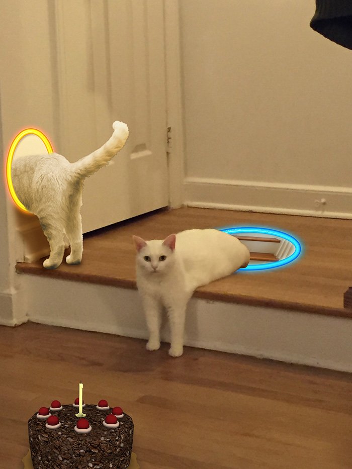 nocontextscats's tweet photo. https://t.co/GrMhs1NNIF
