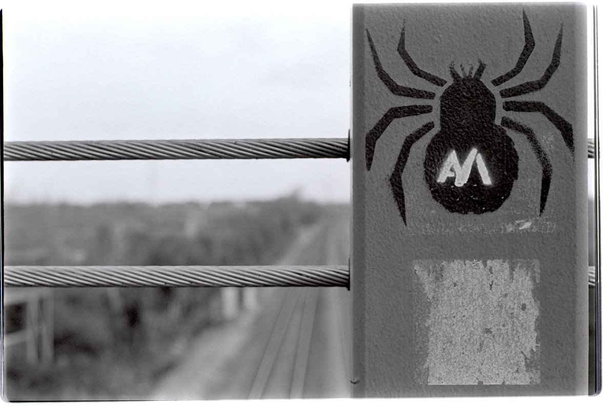 UnaOculusAperta's tweet photo. Spider-T_rail?
#believeinfilm #Fomapan100Classic #FX55 #spider #bridge #cable #logo #motif #railway #blackandwhitephotography #film https://t.co/9GHaNs5JTo
