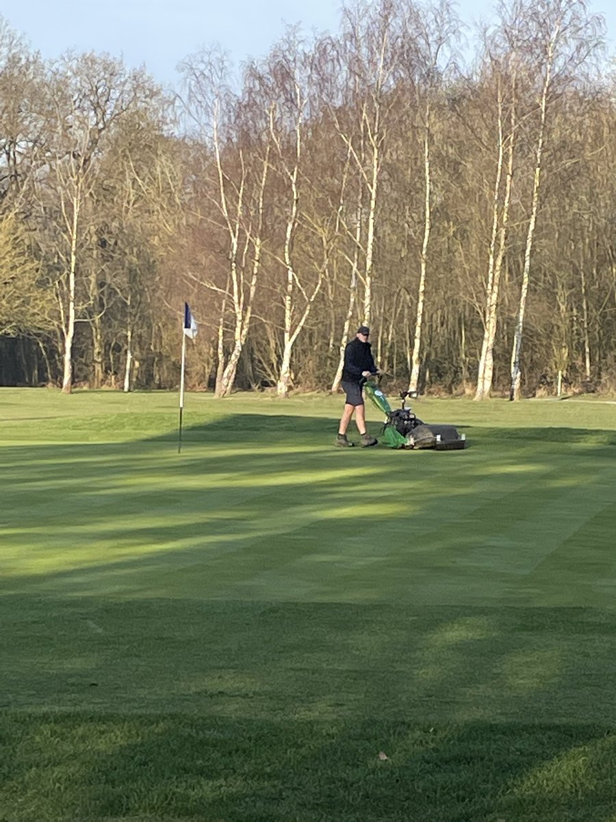 <a href="/BraintreeGC/">Braintree Golf Club</a> greens looking superb today. Green staff doing a great job hand mowing the greens