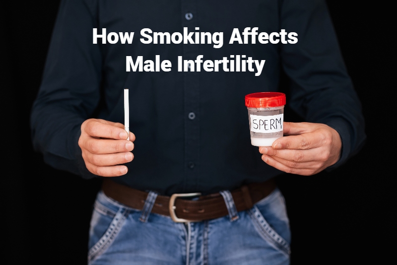 UrolifePune's tweet image. How Smoking Affects Male Infertility

Read more:- buff.ly/3I4AeUr

Visit us - buff.ly/3nHSQRO
Call us - 8686353030

#healthyfood #healthyfood #SpermProblem #spermatogenesis #smokingeffct #DrIrfanShaikh #sperm #SpermQ #spermidine #drIrfansheikh #pune