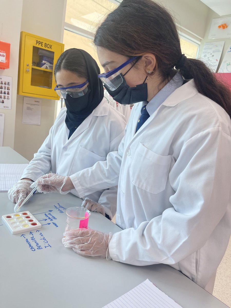 This week, our #AmityADYear9 students have looked at displacement reactions to support their learning of the reactivity series #AmityADChemistry #AmityADScience #PracticalScience #AcademicTwitter #GirlsInScience