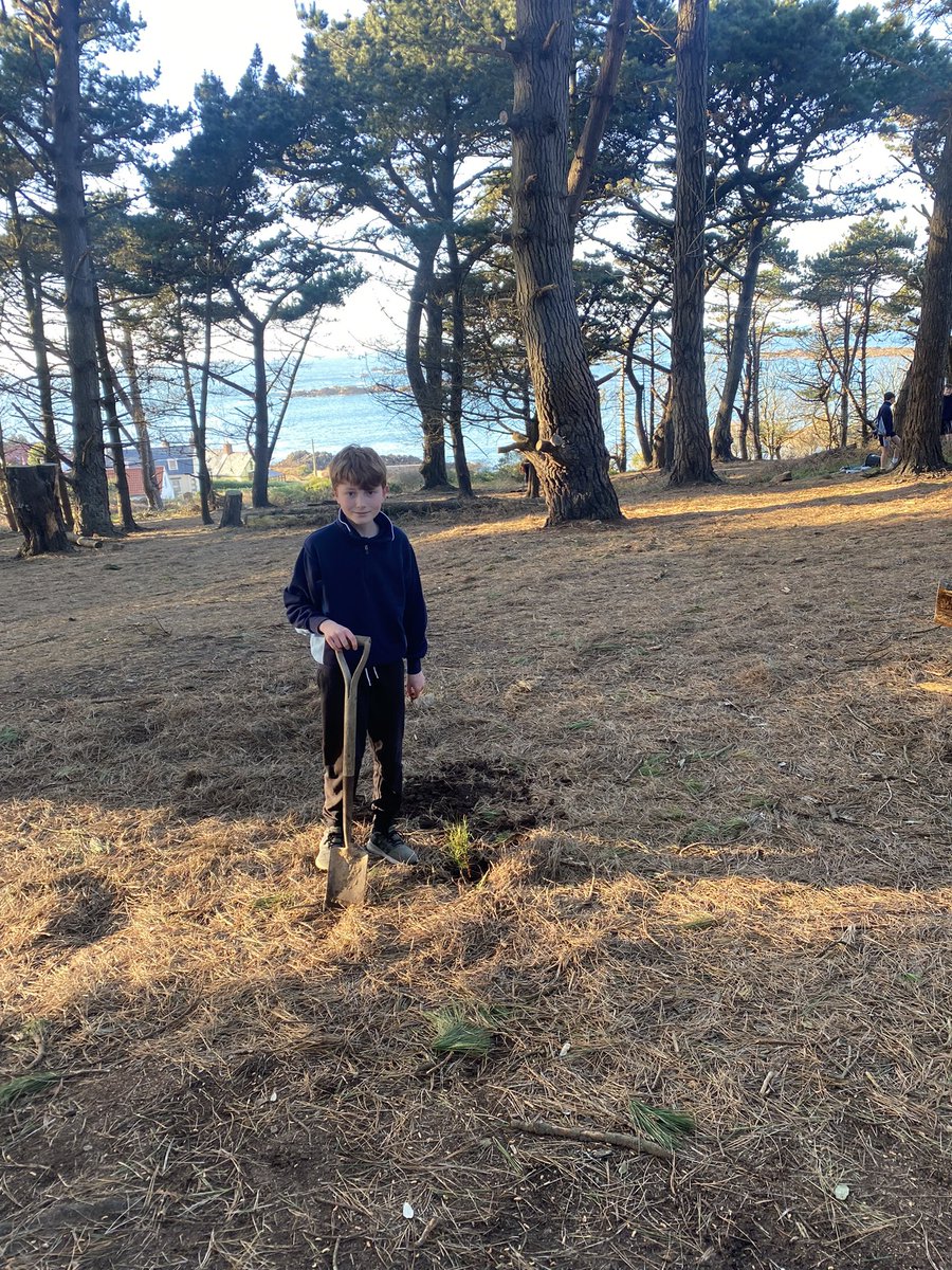 Super star Daniel planted a record breaking 5 trees yesterday! #JLT #trees #eco #recordbreaker