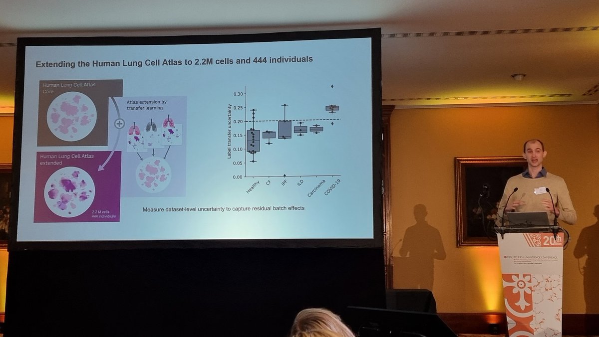SchillerLab's tweet photo. Label transfer uncertainty in projecting new datasets on the integrated HLCA as a highly useful tool to identify disease specific cell states. 
Based on pioneering work by @Mo_lotf @fabian_theis @HelmholtzMunich @Misharin_lab 

https://t.co/3eaAQbAdUi https://t.co/qtgEzexjw3