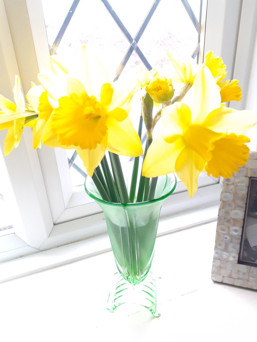 The beautiful brightness of daffodils bringing cheer to a dull rainy day 
#daffodils #beauty #colourfulhome #workingfromhome