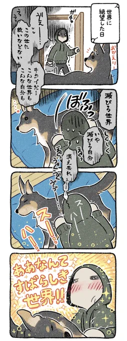 【ワンダフル★ワールド】 #漫画が読めるハッシュタグ #コミックエッセイ #犬のいる暮らし