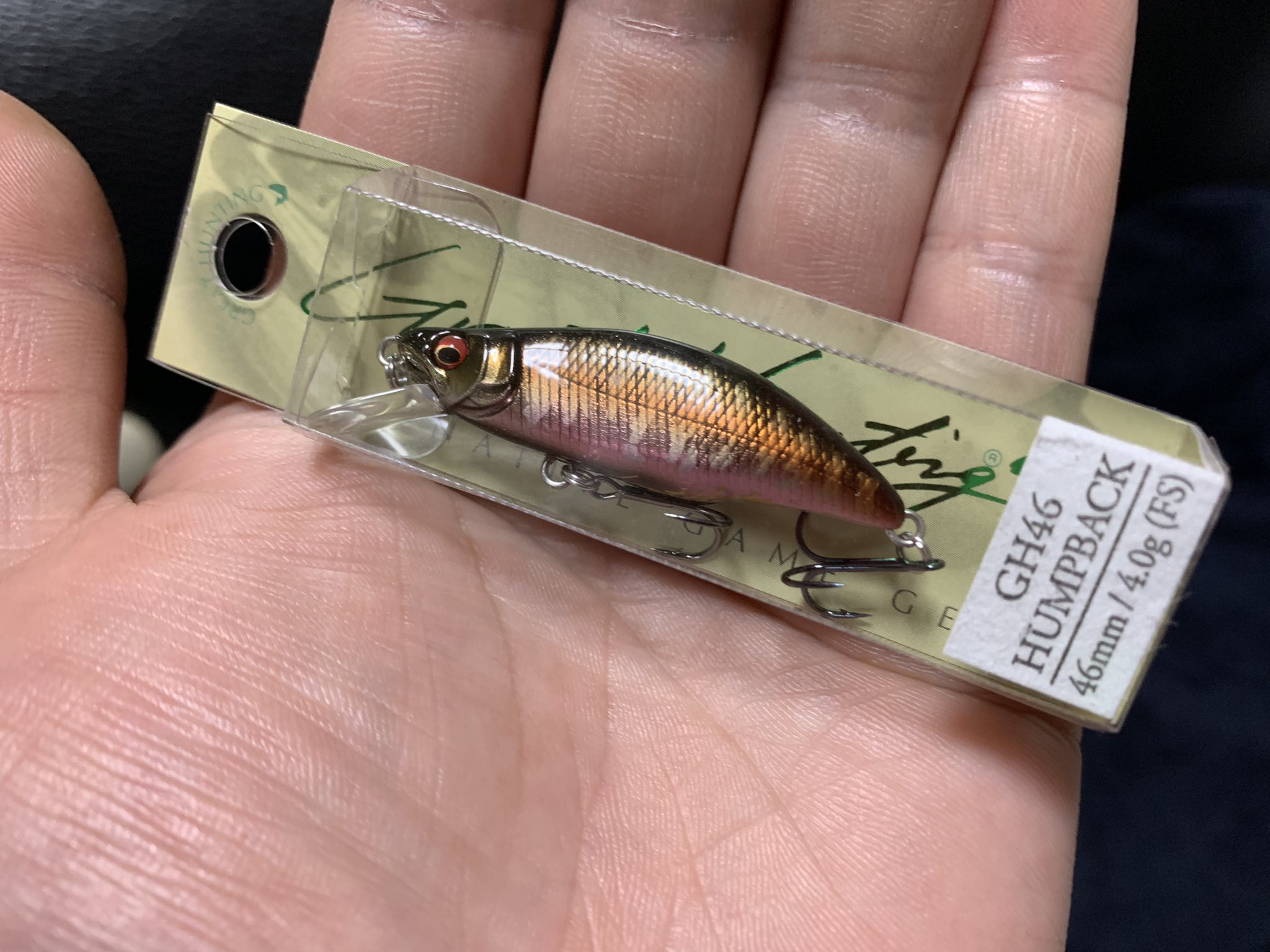 ちゃんだい メガバスこばちゃんルアーに貢献 宝の持ち腐れやけどな 笑 釣り フィッシング Fishing 釣り好き 釣り好きな人と繋がりたい ルアー メガバス Megabass グレートハンティング ハンプバック トラウト 小林智徳 さん T Co