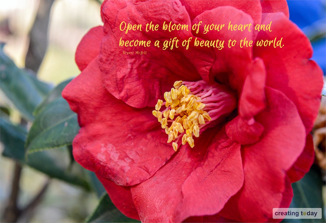 mdudek's tweet photo. Today I am creating sharing, fulfillment and serendipitous wonders...
What are you creating today?
https://t.co/PNQyqFqp0C
#simplycreatetoday #creatingtoday #inspiration #love #humanspirit #healing #selfcare #bloom #flower #nature #fridaymorning #Today https://t.co/u33zcFWFJJ