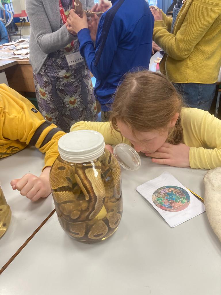 RydePrep's tweet photo. Zoology anyone ?? https://t.co/9eurldv59K