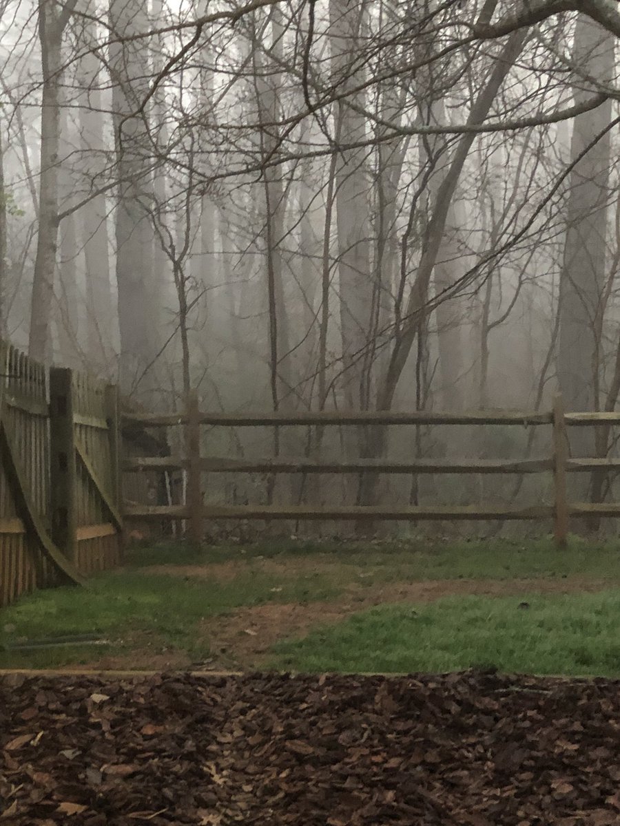 Banditcoots tweet media