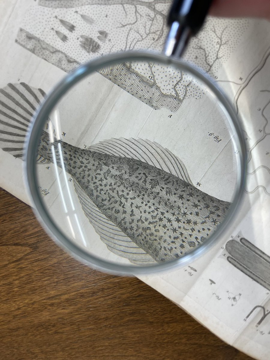 PaleoExplorer's tweet photo. 😳 High school students from @newtechodessa in Odessa, Texas are flipping through the rare book collection at @MBLWHOILibrary in Woods Hole, Mass. Books from the 16th century and even those hand signed by Charles Darwin! @MBLScience @EctorCountyISD #Darwin #biology https://t.co/AUwmcTD6sX
