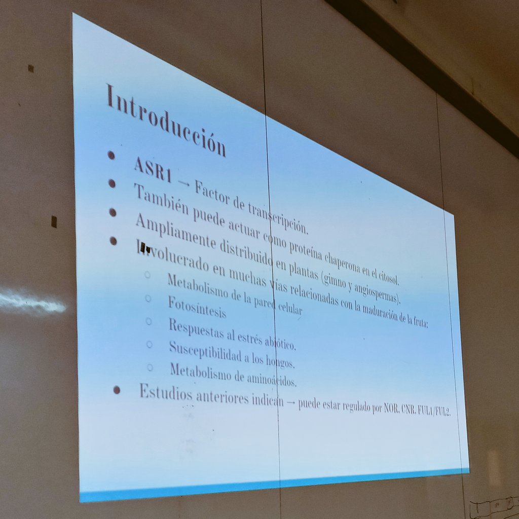 fercarrari's tweet photo. Discussing #generegulation mechanisms with students of the Escuela Complutense Latinoamerica (@unicomplutense @UBAonline). #plantsci #ASRgenes https://t.co/b7aSaJLQ3i
