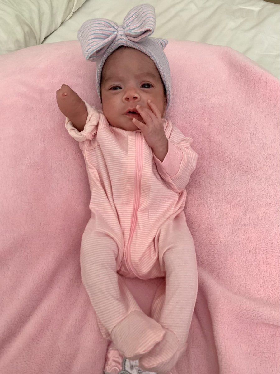 Lucky Fin Project tweet media