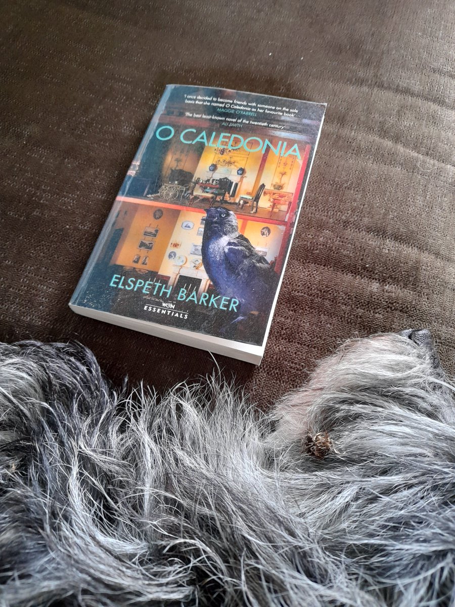 AndyCochrane7's tweet photo. Can't remember who recommended O Caledonia but thank you. Spending time with Janet is a great escape from it all. #elspethbarker #WNEssentials https://t.co/6HcCc6MlgM