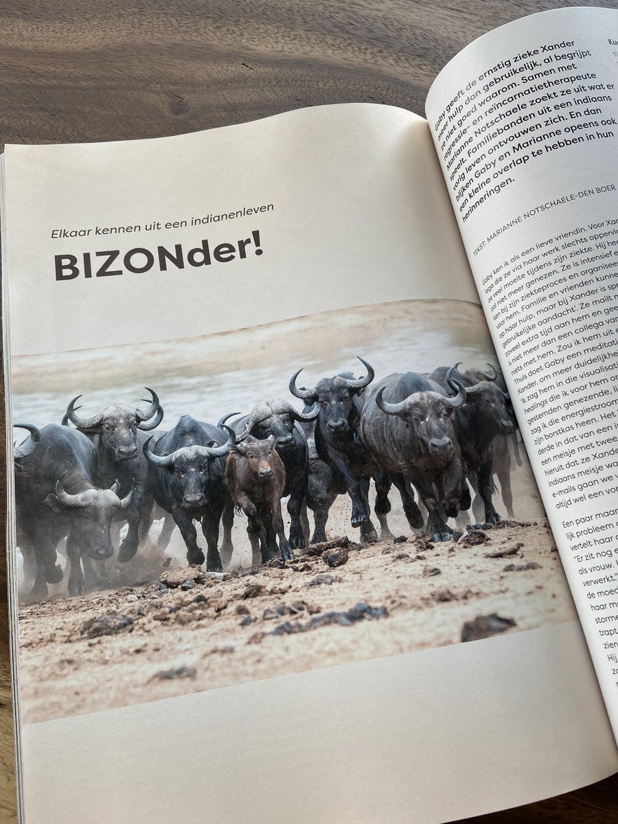 vorigelevens's tweet photo. Verhaal nu online: https://t.co/De4ybI2XXt - elkaar kennen uit een indianenleven #reïncarnatie #vorigelevens #bizons #indianen https://t.co/OqWpRDviOu