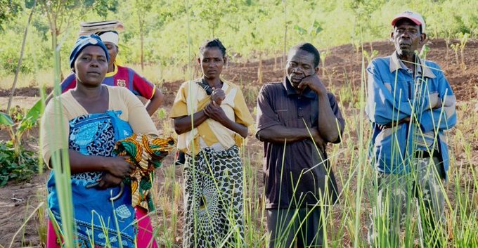 Achieving agricultural sustainability depends on gender equality.