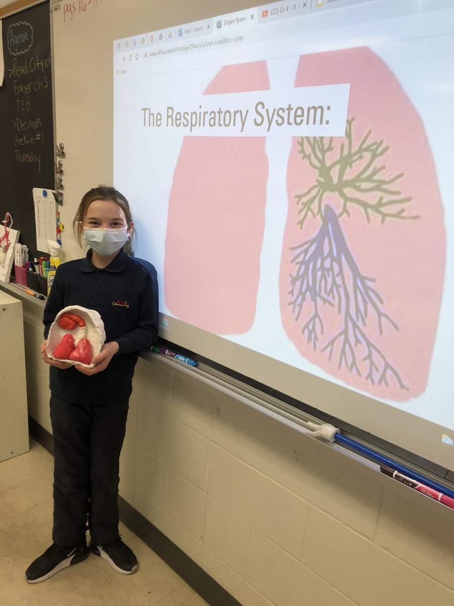 We wrapped up our Human Organ System unit in Science this week by finishing our presentations &amp; by writing a research report on what we’ve learned! Great job Grade 5s 🧠🫁🫀<a href="/stpetersmilton/">St. Peter C.E.S.</a>