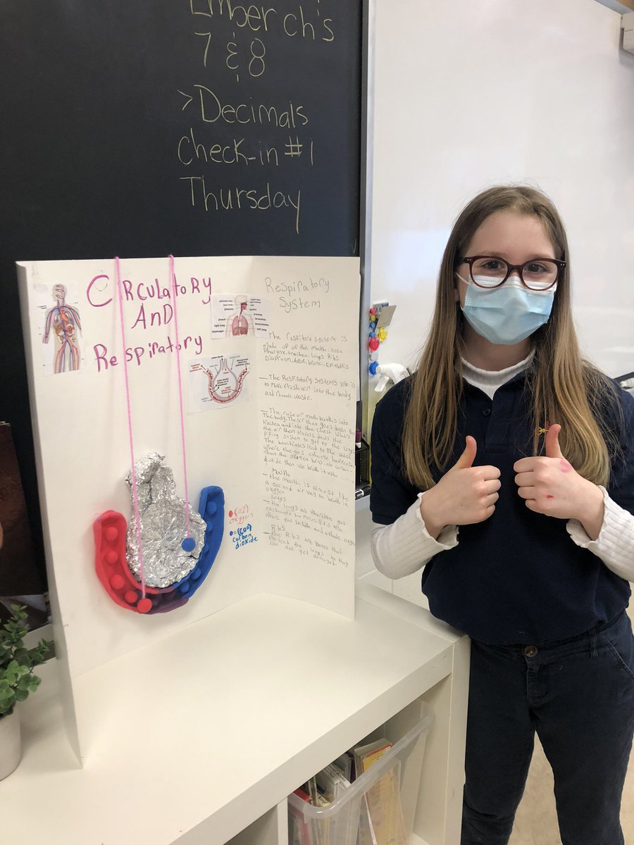 More Human Organ System models! 🫁🫀🧠 <a href="/stpetersmilton/">St. Peter C.E.S.</a>