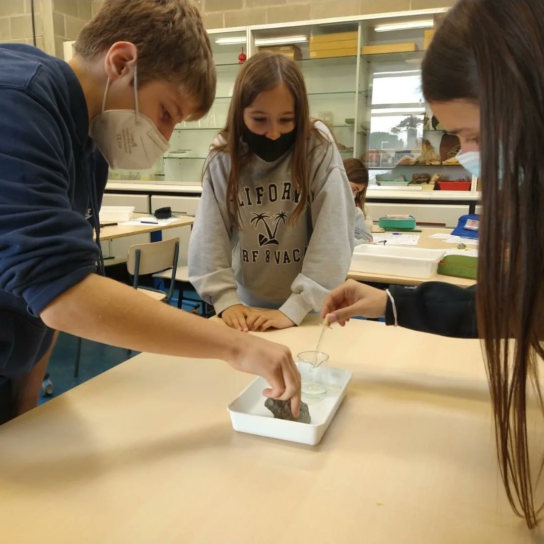 Avui alumnes de #1rEsoThauBcn han fet una pràctica d'identificació de roques, mitjançant una clau dicotòmica.