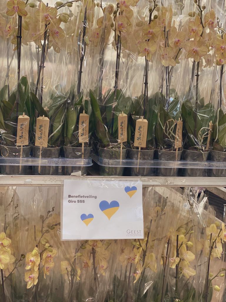 Maandag geel voor Oekraïne, tijdens de benefietveiling voor giro555 op <a href="/FloraHolland/">Royal FloraHolland</a>