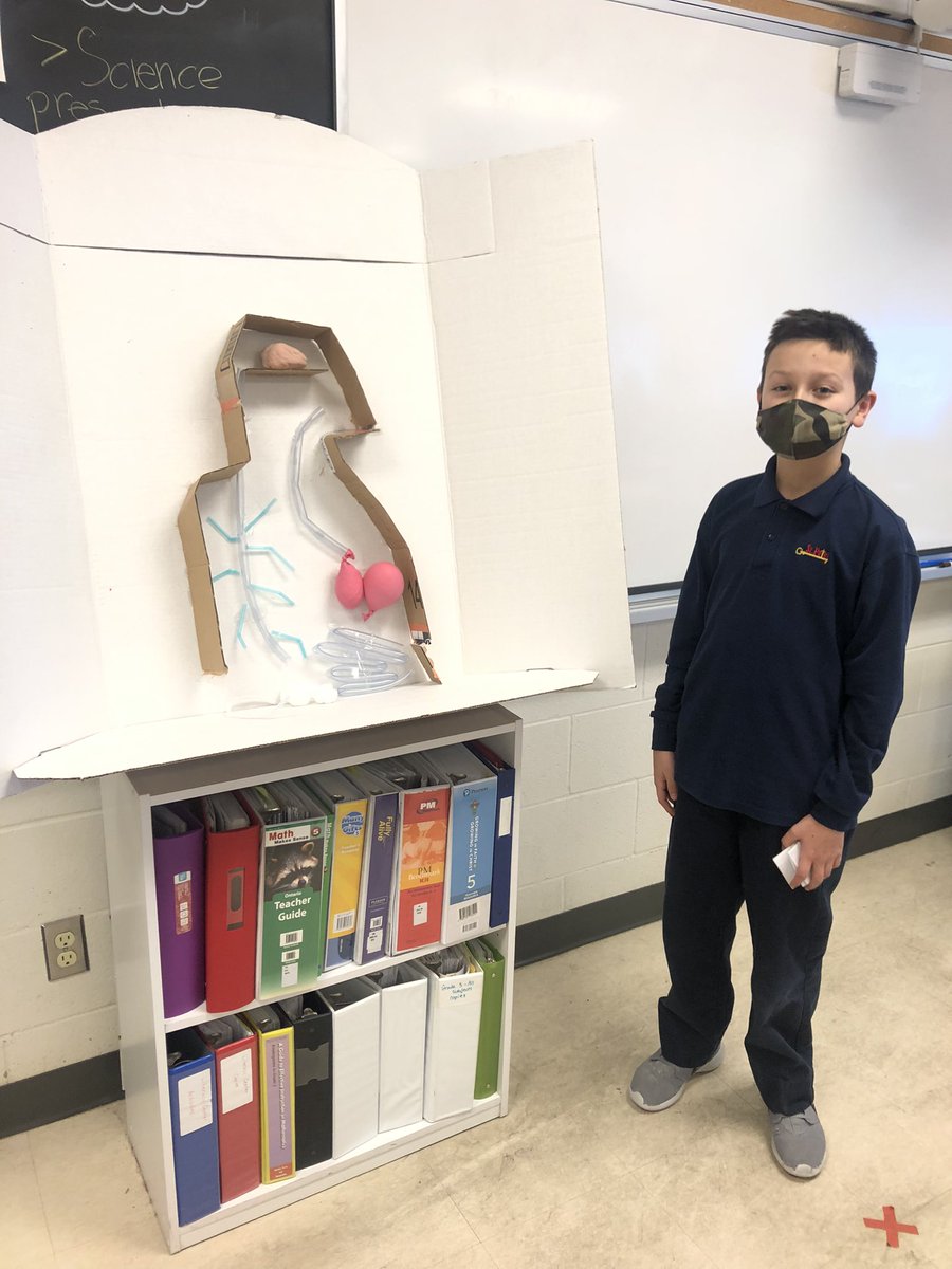 🫀🫁🧠 <a href="/stpetersmilton/">St. Peter C.E.S.</a>