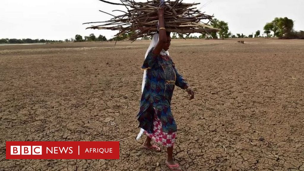 bbcafrique's tweet photo. Des organisations humanitaires tirent la sonnette d’alarme face à une potentielle réduction de l’aide destinée aux pays du Sahel en faveur de l’Ukraine.
https://t.co/BceZI7oLoR https://t.co/Cjp116ut3P