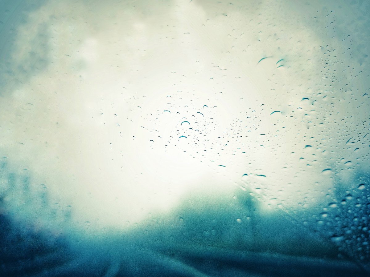 La tibieza, la tibieza, la tibieza qué sabrá de la niebla, la oscuridad, la luz..., qué sabrá de la fuerza de vivir.

📷Helena