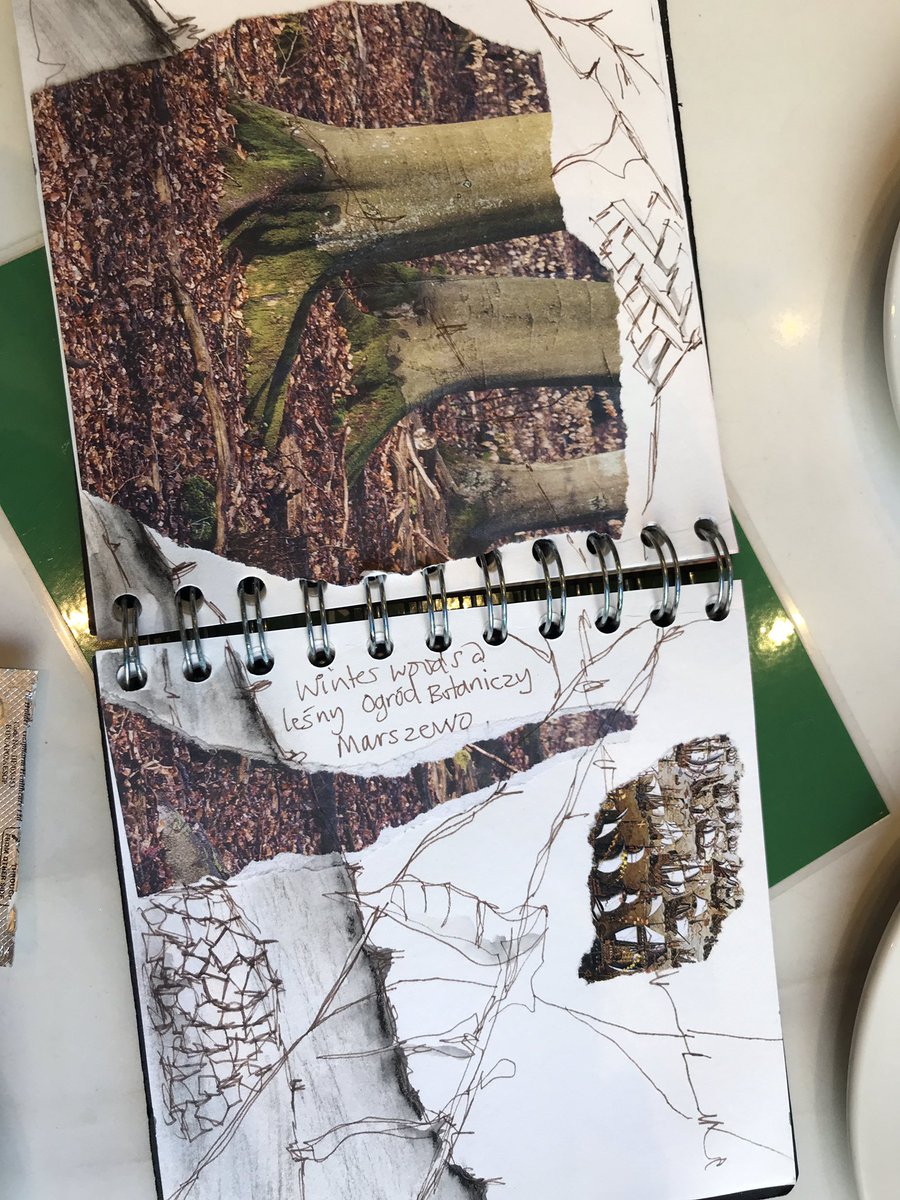 PappusProject tweet media