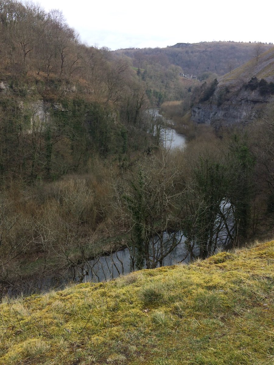 DfsStubbs's tweet photo. #LittonMill and #WatercumJollydale from the #MonsalTrail in the #Derbyshire #Dales #PeakDistrict https://t.co/OWQ5ecFYih