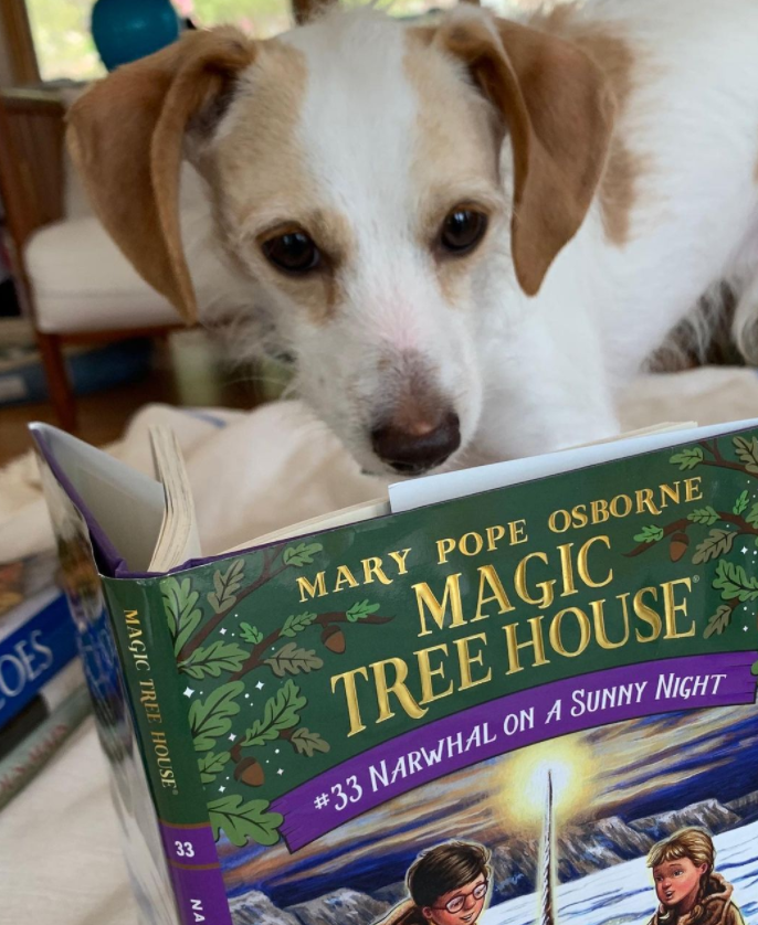 FollettSoftware's tweet photo. “I hope that through the graphic novels, young readers will discover a love for reading...” @mary_pope_osborne and illustrators @kickingsh0es talk more on their "Magic Tree House" graphic novels in this interview. https://t.co/sTnMxDaCbn.
Image credit: @mary_pope_osborne https://t.co/0XMuiEtA8S