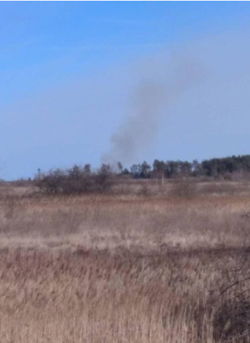 Hosenmaus tweet media