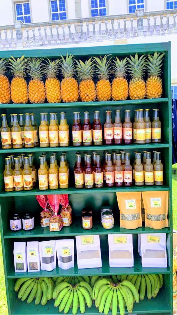 Virginie de BAGLION DE LA DUFFERIE tweet media