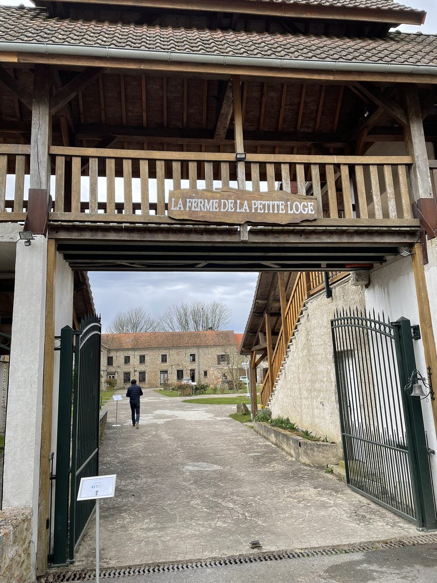 Mary Suroy Helier tweet media