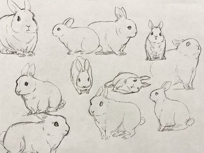資料なしでも雰囲気だけいける気がしてきた
多分今後うさぎ描くことほとんどないと思うけど 