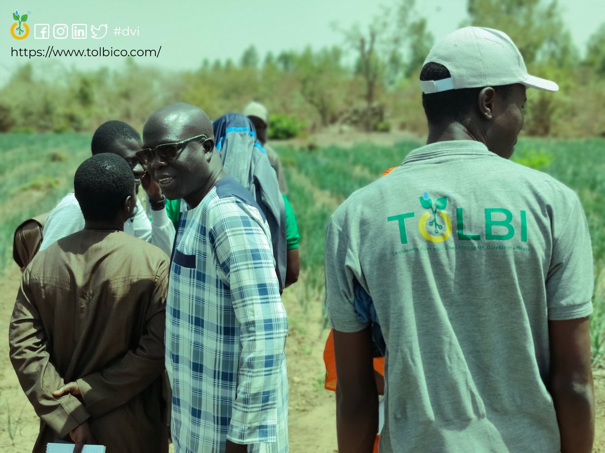 TOLBI à KAOLACK
Les Ingénieurs TOLBI en partenariat avec <a href="/FAO/">Food and Agriculture Organization</a> et @ANCAR ont mené des activités à KAOLACK plus particulièrement à POROKHANE (Keur DIATTA) et à NDRAME ESCALE (THIARENE DJISSA).
La beauté  du sud du bassin arachidier (Porokhane et Ndramé Escale) en quelques images