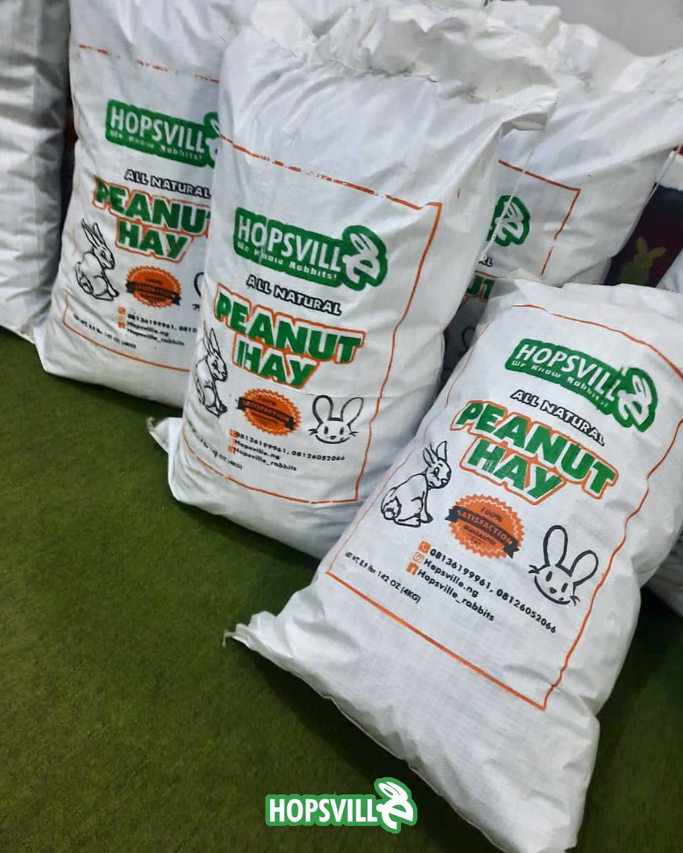 hopsville_ng's tweet photo. Everybunny needs the HOPSVILLE All Natural Peanut Hay🤤🐰. Yes! Hay is the most important part of a bunny's daily intake. Unlimited, high-quality hay, such as HOPSVILLE's Peanut Hay, should make up the bulk of a bunny's diet. #hopsville #rabbitfood #hopsvillepeanuthay #petfood https://t.co/KcqmCzW6LM