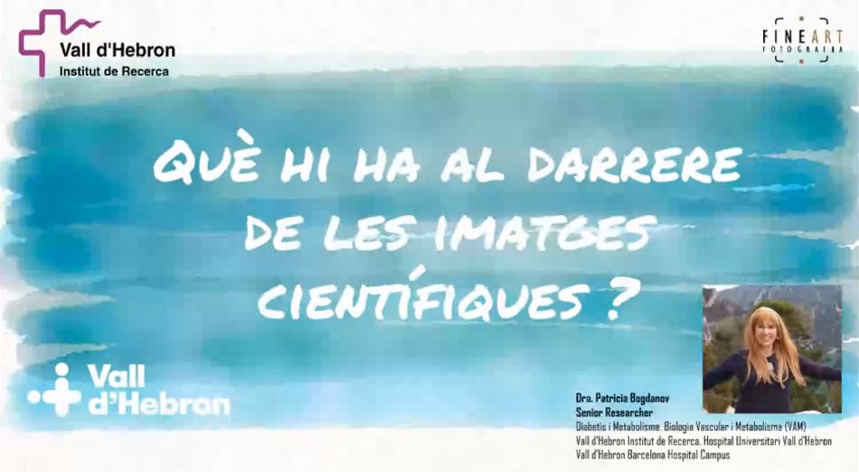 Vall d'Hebron (@vallhebron) on Twitter photo No vas poder veure la xerrada de la Dra. Patricia Bogdanov, investigadora <a href="/VHIR_/">Vall d'Hebron Institut de Recerca</a> a <a href="/fineartigualada/">FineArt Igualada</a>? Va presentar "Què hi ha darrere de les imatges científiques?" en el marc de l'exposició #AltraMiradaRecerca.
Aquí la pots recuperar 🔗 youtube.com/watch?v=LbAts8… No vas poder veure la xerrada de la Dra. Patricia Bogdanov, investigadora <a href="/VHIR_/">Vall d'Hebron Institut de Recerca</a> a <a href="/fineartigualada/">FineArt Igualada</a>? Va presentar "Què hi ha darrere de les imatges científiques?" en el marc de l'exposició #AltraMiradaRecerca.
Aquí la pots recuperar 🔗 youtube.com/watch?v=LbAts8…